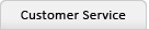 Customer Service